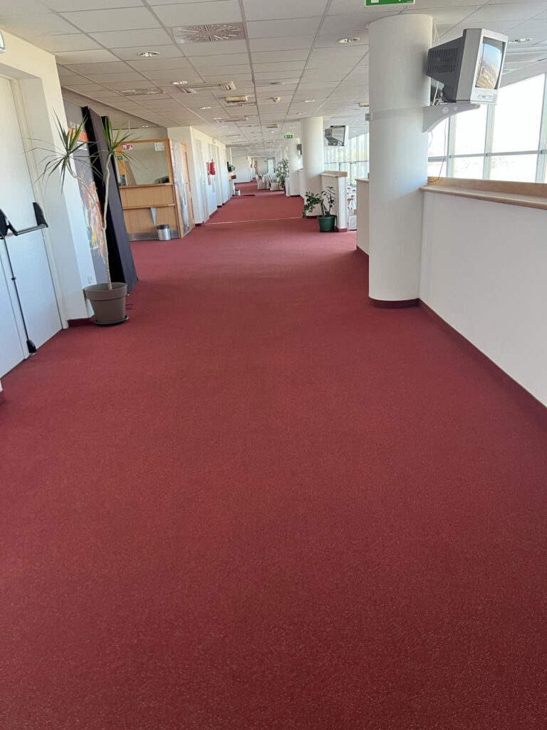 Kincsem Park Takarítás